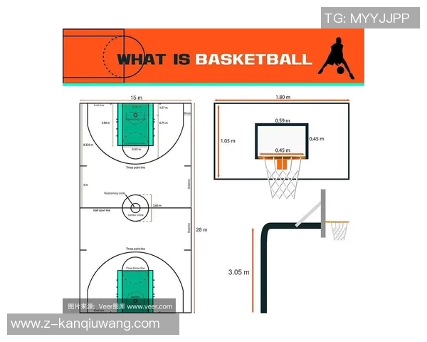 运动新闻布鲁克洛佩斯：从NBA巨星到篮球战术的关键人物分析